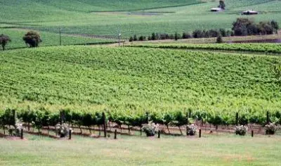 66bad83e61be0_1283_6848070512fd434488839bca82fe52e9yarra1