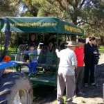 Visitors experience the Rayners Orchard Tour 4, standing on a tractor-pulled trailer surrounded by vibrant orchard trees and greenery.