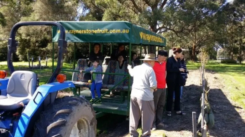 Visitors experience the Rayners Orchard Tour 4, standing on a tractor-pulled trailer surrounded by vibrant orchard trees and greenery.