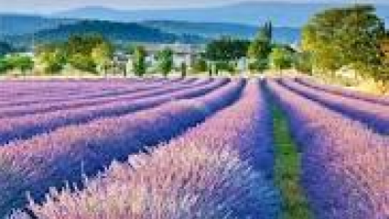 66bae046187a5_1283_hepburn