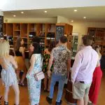 Visitors savour premium Yarra Valley wine tasting at a stylish bar, surrounded by illuminated shelves filled with assorted wine bottles.