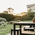 Scenic sunset garden with wooden picnic tables set for gourmet wine and gin tastings, lush grass, and potted plants on each table.