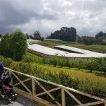 Family with pushchair strolling past vibrant glasshouses at Rayners Orchard Tour 4, lush scenery beneath dramatic cloudy skies.