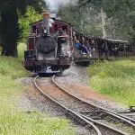 Steam train on Rayners Orchard Tour 1, curving through lush greenery with passengers enjoying scenic views in open carriages.