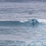 Surfer catching a small wave on the sea during a Learn to Surf Tour, with another participant watching from deeper water.