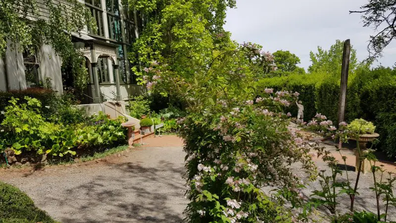 Lush garden with vibrant flowering shrubs and gravel path, inspired by Mt Macedon Ranges and Daylesford on a sunny day.