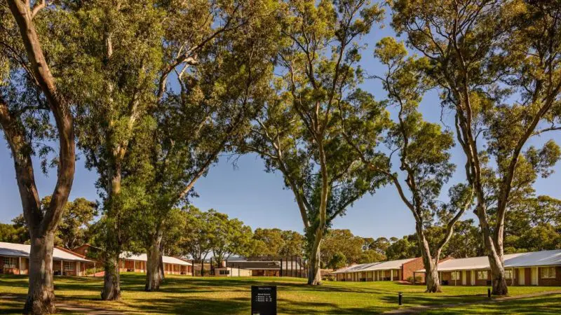 Expansive green lawns, towering gum trees, and charming brick buildings beneath a clear blue sky on the McLaren Vale South Hop On Hop Off Tour.