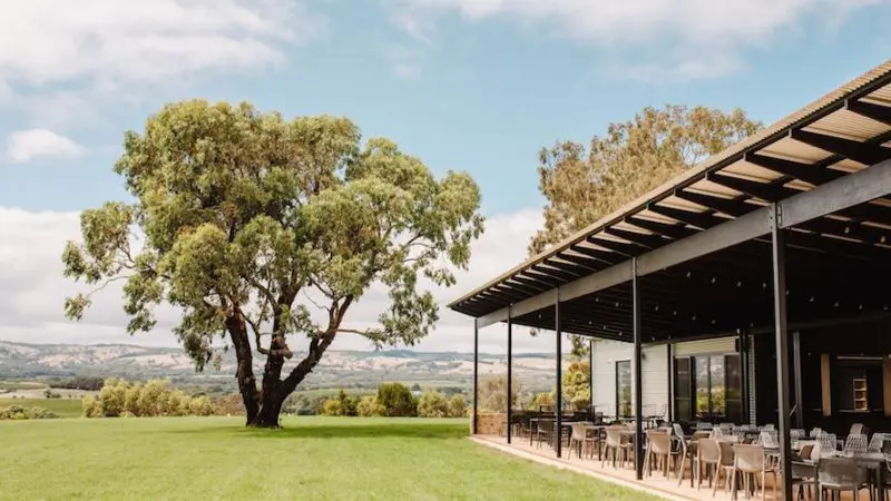 Expansive tree and lush grassy field beside bustling outdoor café—top-rated stop on your McLaren Vale South Hop On Hop Off Tour.