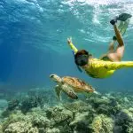 Snorkeller in yellow shirt explores vibrant coral reef with sea turtle during Great Barrier Reef Eco Adventure tour.