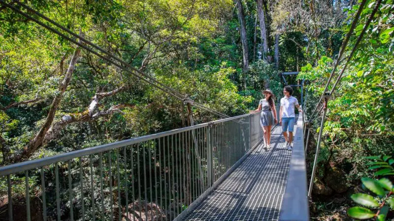 Two travellers cross a scenic suspension bridge on a Cape Tribulation Daintree Guided Day Tour surrounded by lush rainforest canopy.