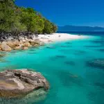Fitzroy island