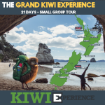 67318b13ab9de_134_sgt-cover-photos