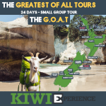 67318b229f379_134_sgt-cover-photos-1-1