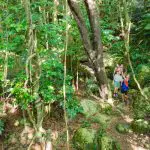 people walking on Fitzroy island
