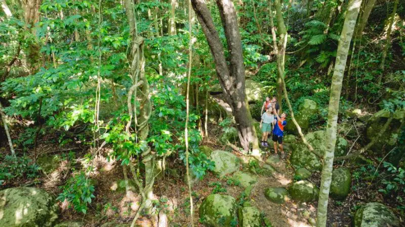 people walking on Fitzroy island