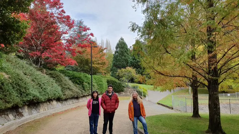 Three visitors walk along a curved park path, reminiscent of scenic trails on Gordon Dam Lake Pedder Wilderness Small Group Day Tours.