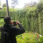 Traveller photographs dramatic, lush green cliffs covered in vines during the Great Ocean Road and Beyond 4-Day 3-Night Tour.