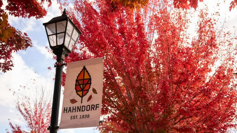 Picturesque lamp post and Hahndorf banner framed by vibrant red autumn trees—Adelaide Highlights Wine Tasting Coast Full Day tour scene.
