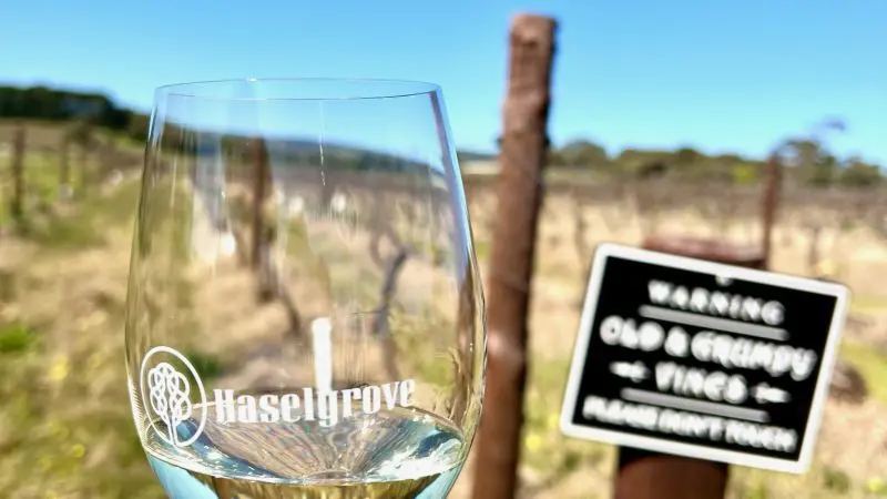 A hand raises a Haselgrove wine glass amid lush Adelaide vineyards during a top-rated Highlights Wine Tasting Coast Full Day tour.