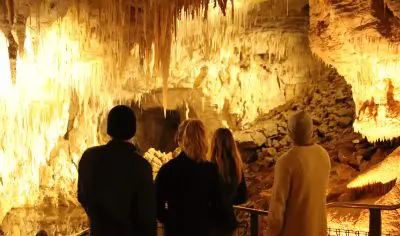 Four visitors stand on a railing, marvelling at illuminated stalactites inside New Zealand’s breathtaking Waitomo Caves.