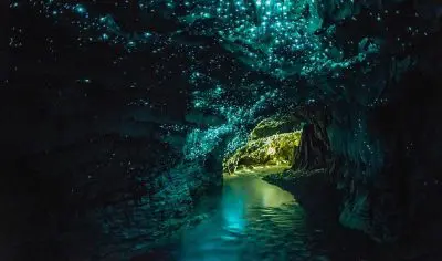 Waitomo Glowworm Caves ceiling illuminates with radiant blue bioluminescent lights above a shimmering underground stream.