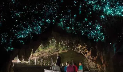 Tourists in a boat glide through New Zealand’s Waitomo Glowworm Caves under a stunning ceiling of glowing blue-green bioluminescence.