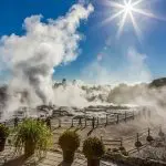 Rotorua geothermal hot springs emit steam under a sunny sky, surrounded by lush greenery and fences, showcasing New Zealand’s beauty.