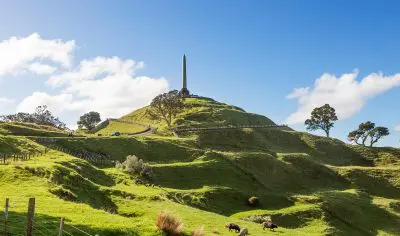 Majestic obelisk atop lush Auckland hill with grazing sheep—perfect for private tours or authentic Māori cultural experiences.