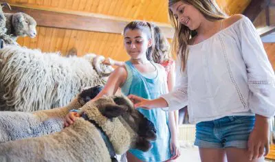 Two girls smile as they pet sheep in a rustic Rotorua barn, enjoying an authentic New Zealand farm experience with more sheep nearby.