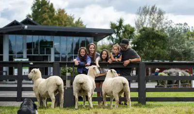 Happy family on exclusive Rotorua tour observes sheep and sheepdog in lush grass near contemporary building, creating lasting memories.