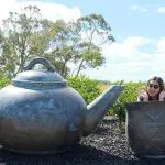 A woman poses in a giant teacup sculpture next to a large teapot at Zealong Tea Estate on a bright, sunny day in New Zealand.