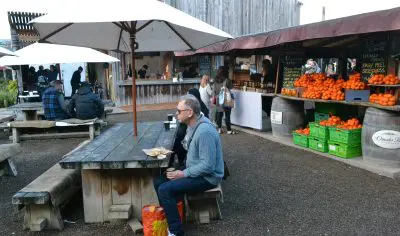 A man sits at a rustic wooden table in Matakana outdoor market, vibrant fruit stalls and lively Wine Village bustling in the background.