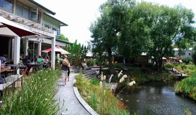 A visitor walks along a scenic garden path by a tranquil pond at Matakana’s Wine Village café, where guests dine outdoors under parasols.