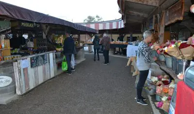 Visitors browse Matakana’s vibrant outdoor market, exploring fresh flowers, artisan produce, and local crafts on rustic wooden stalls.