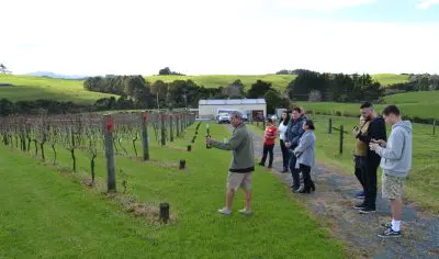 Guests savour a Matakana wine tour outdoors by lush vineyards as a guide pours local wine on an overcast day for an authentic experience.