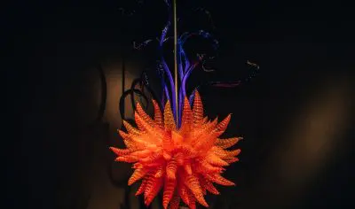 Striking glass sculpture featuring vivid orange spikes and swirling blue tendrils, displayed at Matakana Art & Wine Village, New Zealand.