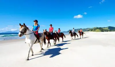 67490534eda94_3961_horse-riding-pakiri-beach-1-1