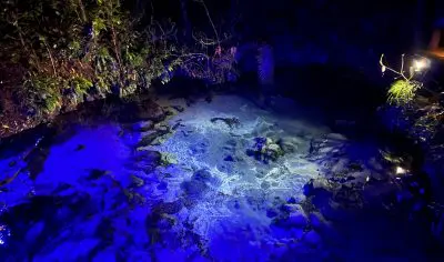 A serene night stream illuminated by radiant blue-white lights, ideal for an exclusive guided tour before an authentic Māori show.