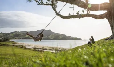 Individual swings from a tree on a lush grassy hill, gazing at a tranquil lake surrounded by forest during a serene nature tour.