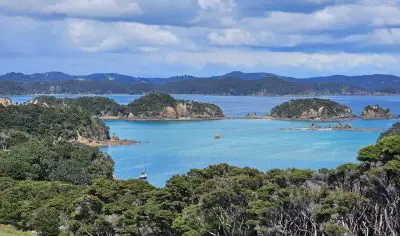 Lush green hills and thick native forests overlook crystal-clear turquoise waters in the Bay of Islands under a vibrant blue sky.