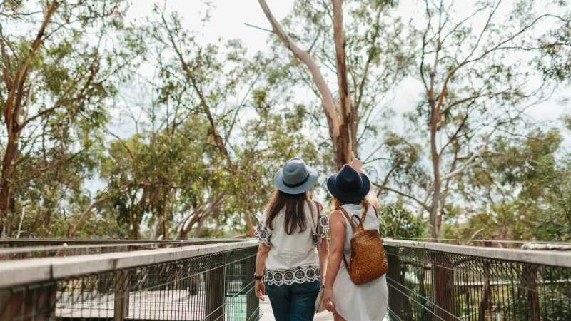 Two women in hats stroll together on a wooden boardwalk at Phillip Island Penguin Parade, lush tall trees surrounding the famous site.