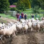 67ac0ce6ccdbe_131_stray-nz-blue-duck-station-micahnz173071wrightweb-4