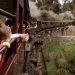 Excited child leans from Puffing Billy Steam Train as it crosses a wooden bridge, curving through lush green forest in Melbourne, Australia.