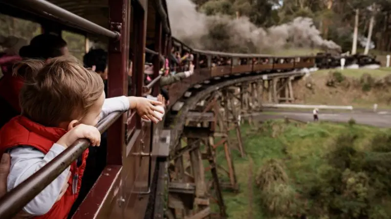Excited child leans from Puffing Billy Steam Train as it crosses a wooden bridge, curving through lush green forest in Melbourne, Australia.