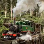 Puffing Billy Steam Train Tour travels over a historic wooden bridge in a vibrant green forest, with smoke streaming from its chimney.