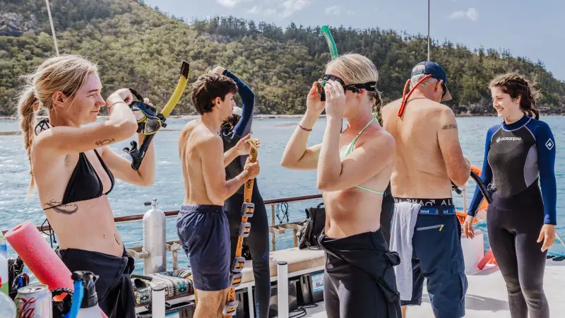 Adventurers on a Summer Jo Day Charter adjust snorkelling masks and gear by scenic ocean waters and lush green hills, ready for exploration.