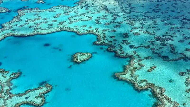 Stunning aerial view of vibrant blue ocean at The Great Escape Australia, featuring heart-shaped coral reefs and crystal-clear waters.
