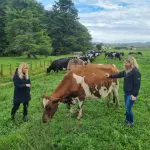 6881854adedb6_3961_20220602124957-1