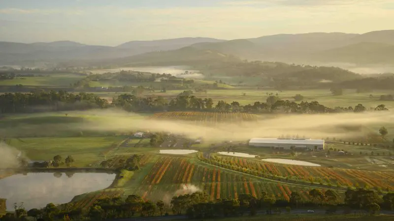 Stunning aerial view of Yarra Valley’s misty vineyards, ideal for hot air balloon adventures with breakfast and city transfer.
