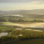 689c0672caa77_8467_yarra-valley-jan-garthjpg7-2